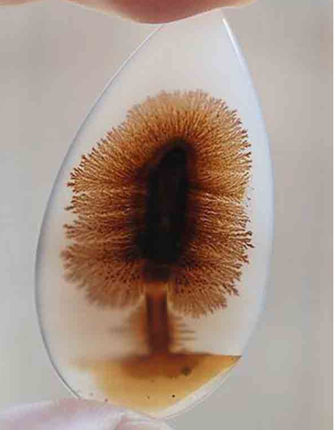 天然玛瑙图案大全图片 天然玛瑙十大图案   第1张