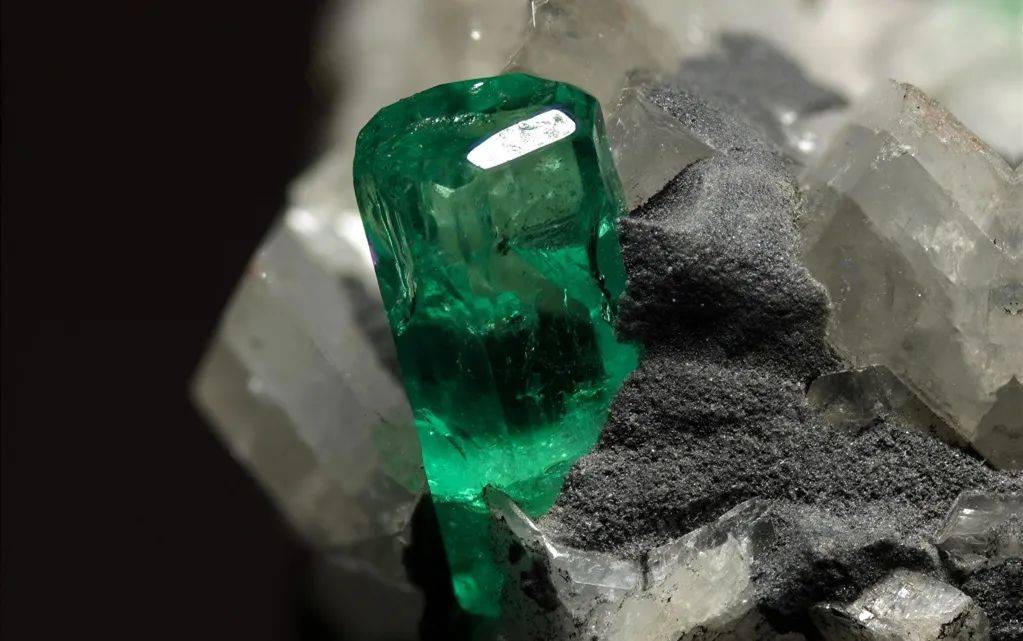 祖母绿：呐，这就叫专业！  第9张