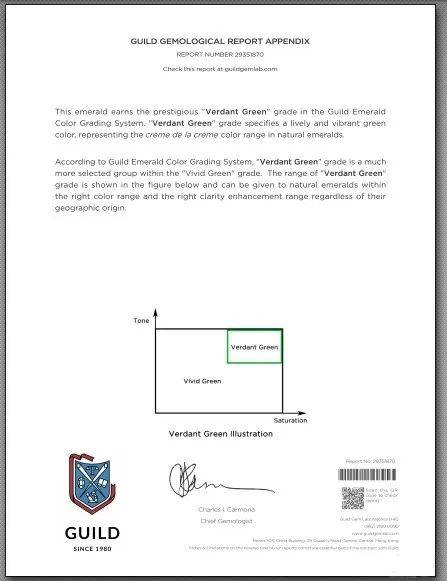 祖母绿：呐，这就叫专业！  第17张