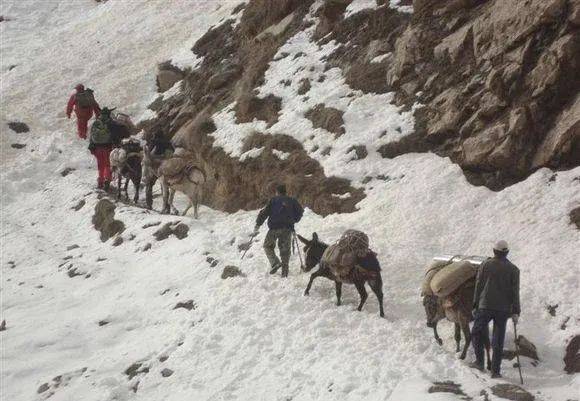 来自国内的玉中王者，揭秘传说中的羊脂黑玉  第7张