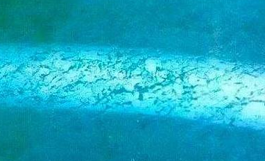 它曾被称为“翡翠”照妖镜，却为何越来越不灵了？  第5张