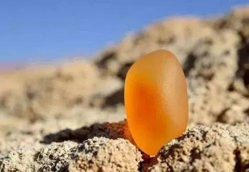 同是金丝玉，有的几百万，有的几百块  第4张