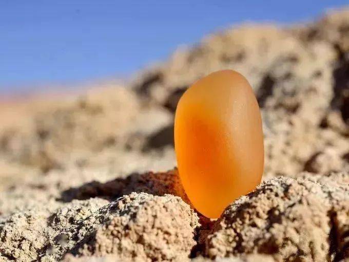 金丝玉和玻璃的成分相同！虚伪炒作or增值黑马，一篇看穿！  第3张