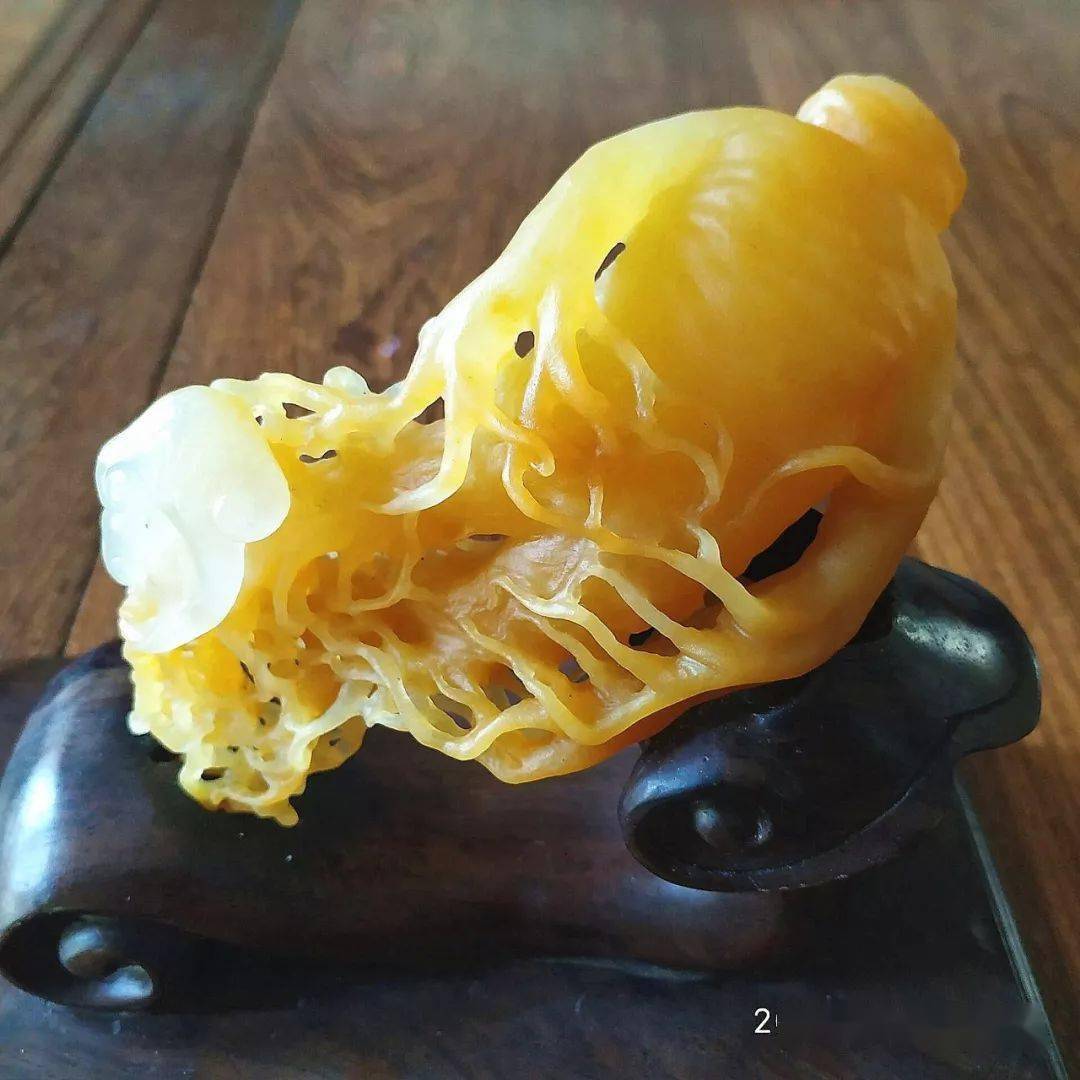 金丝玉的宿世、此生和未来  第3张