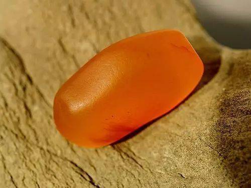 金丝玉的宿世、此生和未来  第8张