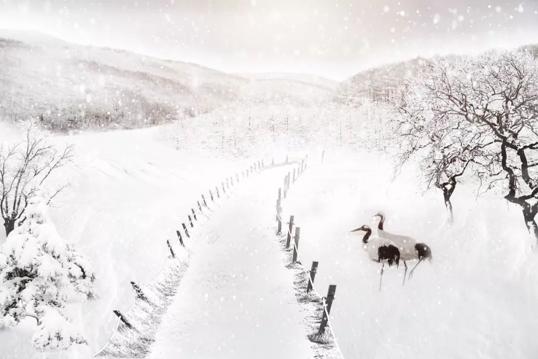 如诗如画，带你领会翡翠的四季轮换之美  第15张