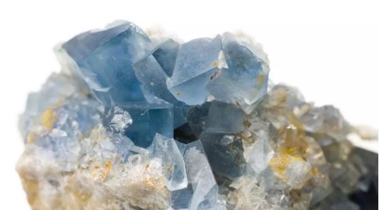 千百年来一向被视为瑰宝的夜明珠，竟是它.......  第3张