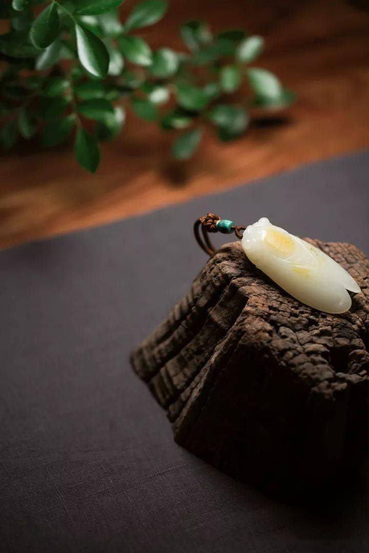 玉石：俯仰之间，皆是温情  第14张