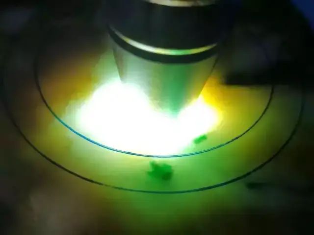 小万拿下莫西沙翡翠原石，一刀切出稀有的三彩翡翠，制品让人入神  第5张