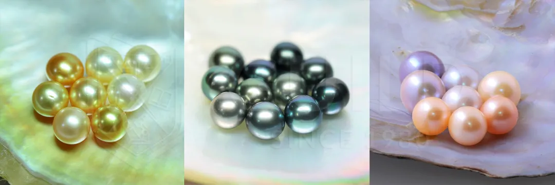 五颜六色珍珠的判定和分级  第3张