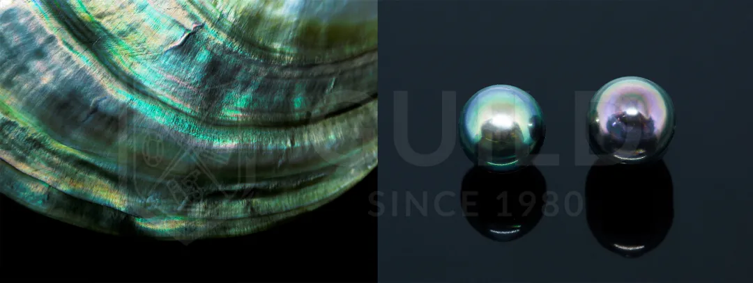 五颜六色珍珠的判定和分级  第12张