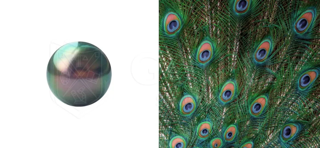 五颜六色珍珠的判定和分级  第16张