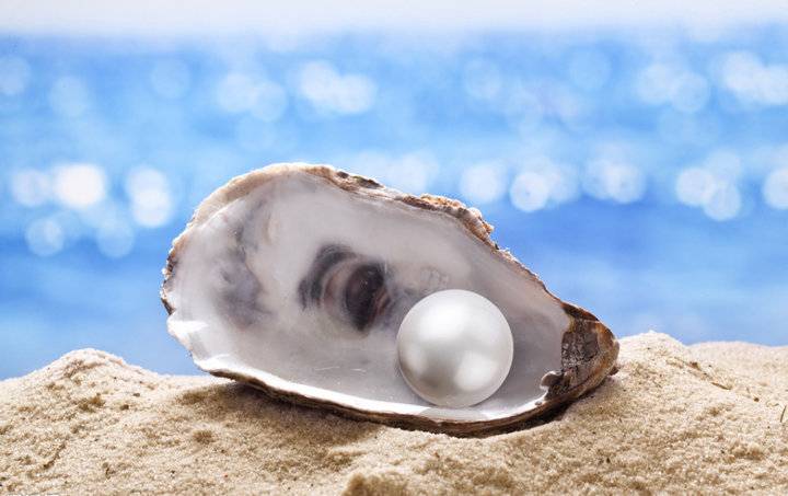 珍珠 像眼泪相同宝贵的水中精灵  第2张