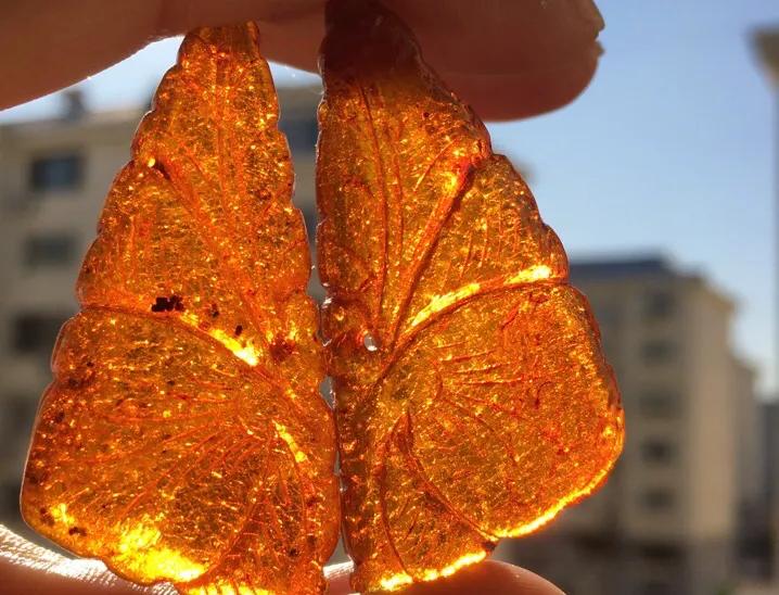 血珀到底是怎样构成的  第9张