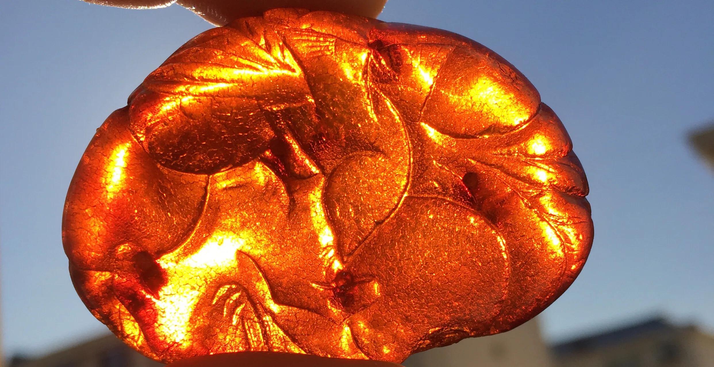 血珀到底是怎样构成的  第8张