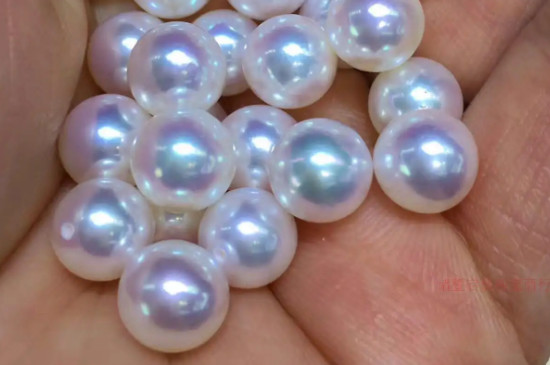 珍珠天女级别什么意思  第3张