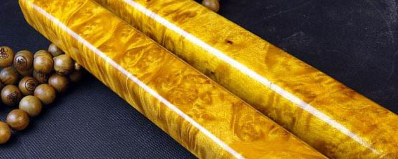 黄金檀是什么木头  第1张