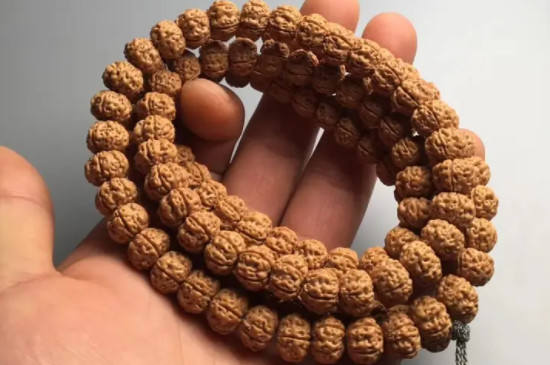 金刚皮是什么皮  第3张