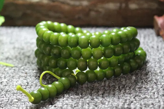 菩提有绿色吗  第2张