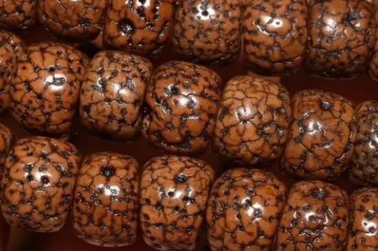 星月菩提开片后的寿命  第3张