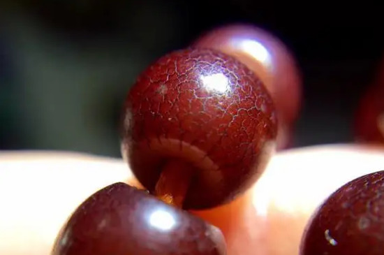 菩提根开片需要多久  第3张