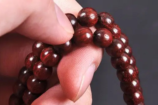 海柳怎么辨别  第3张