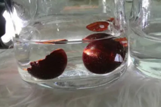 海柳怎么辨别  第2张