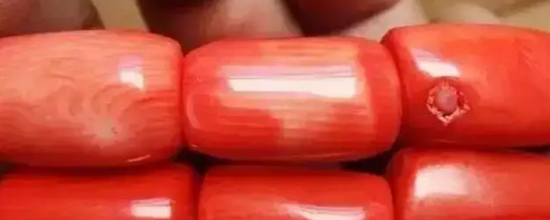 怎样辨别红珊瑚的真假  第1张