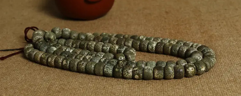 阴皮菩提是自然的还是人工的  第1张