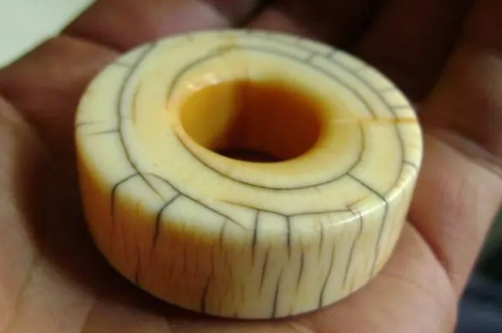 假猛犸象牙鉴定最简单方法  第3张