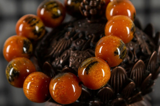 海柳最简单的鉴别方法  第3张