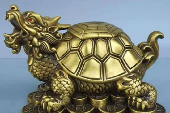 龙头龟的功效与忌讳  第4张