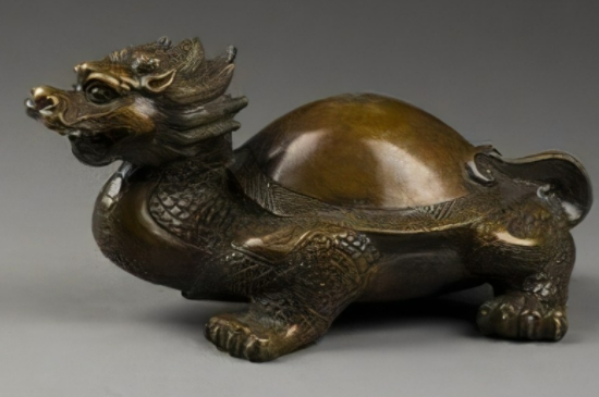 龙头龟的功效与忌讳  第8张