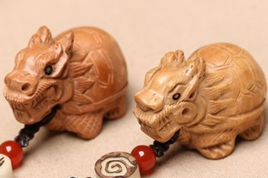 龙龟摆放的最佳位置图  第2张