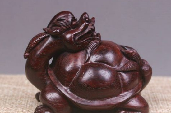 龙龟摆放的最佳位置图  第3张