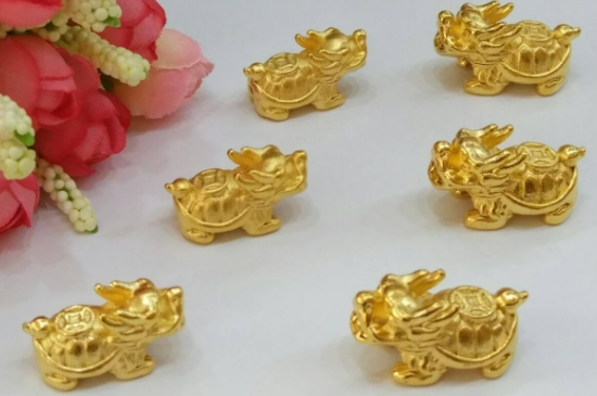 龙龟摆放的最佳位置图  第7张