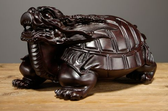家里为什么不能摆龙龟  第3张