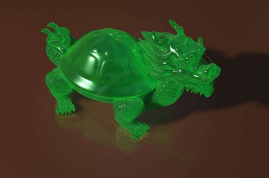 6种人千万不能带个龙龟  第2张