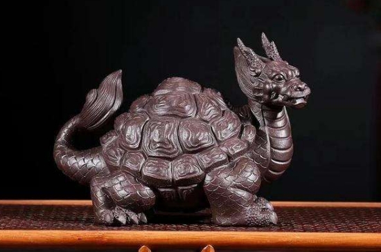 6种人千万不能带个龙龟  第6张