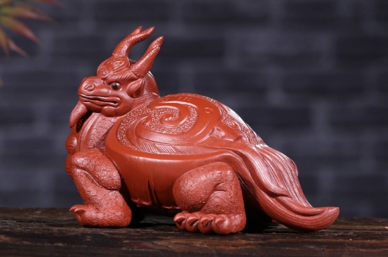 6种人千万不能带个龙龟  第7张