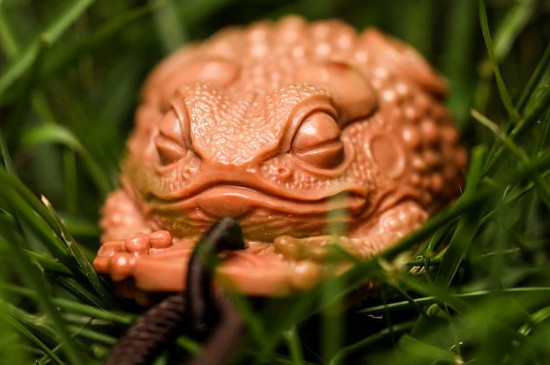 女人戴貔貅还是金蟾好  第2张