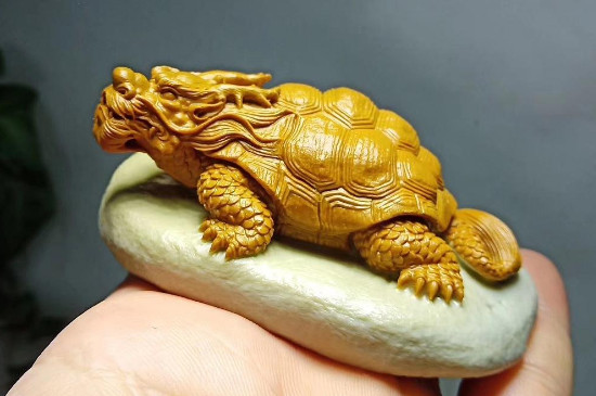 龙龟和貔貅哪个好  第5张