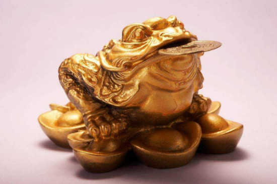 金蟾的正确摆放方法  第4张