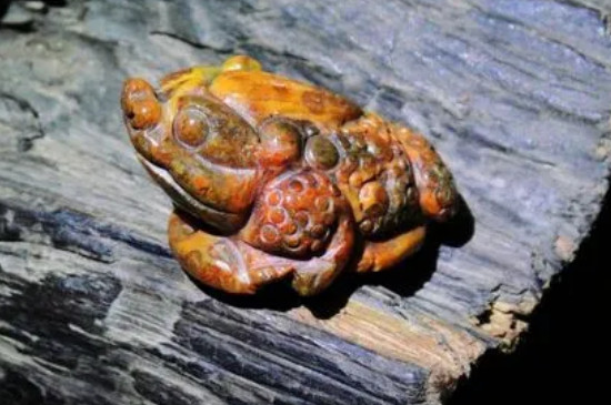 金蟾摆放客厅哪里最好  第3张