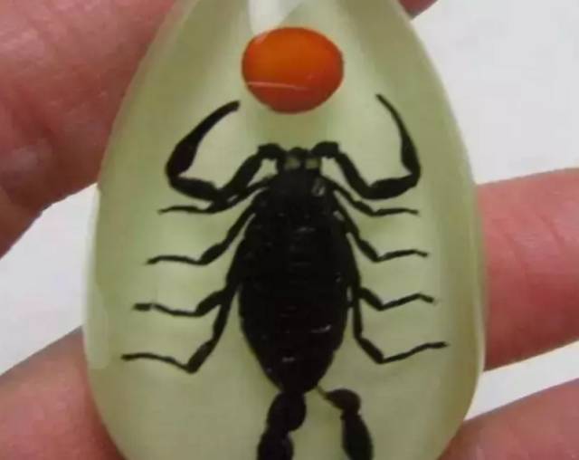 假蜜蜡图鉴，见着远离！  第27张