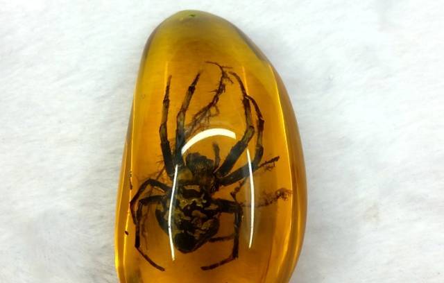 假蜜蜡图鉴，见着远离！  第52张