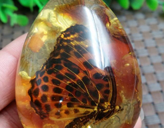 假蜜蜡图鉴，见着远离！  第51张