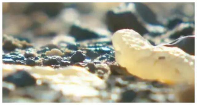 内蒙最值钱的湖泊：湖底铺满玛瑙价值几十亿，如今能随便捡  第2张