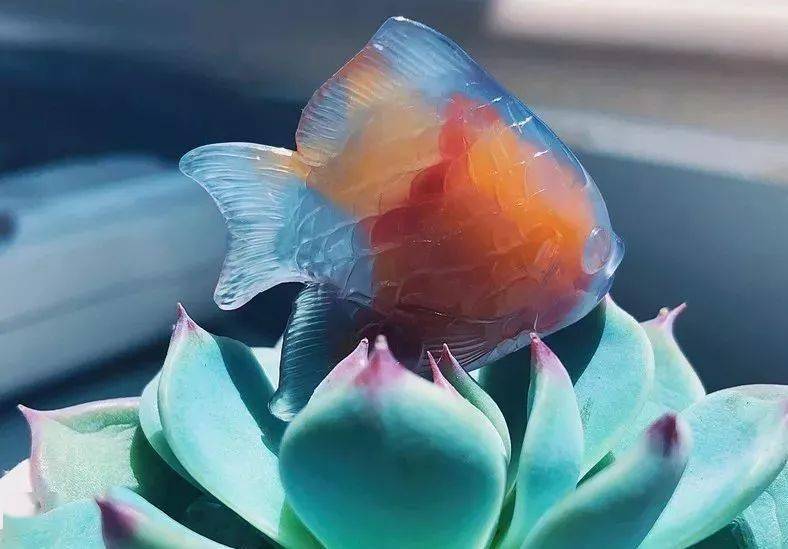 这样的玛瑙，你见过吗？  第4张