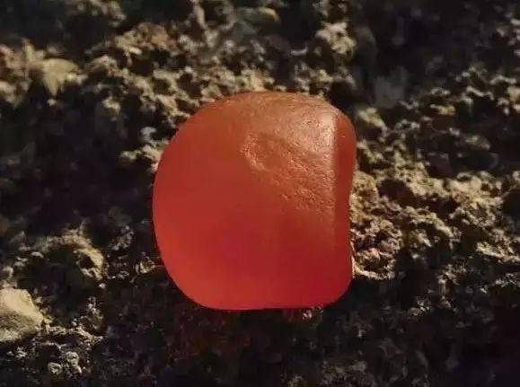 来来来，大家伙看看最值钱的石头长什么样！  第58张